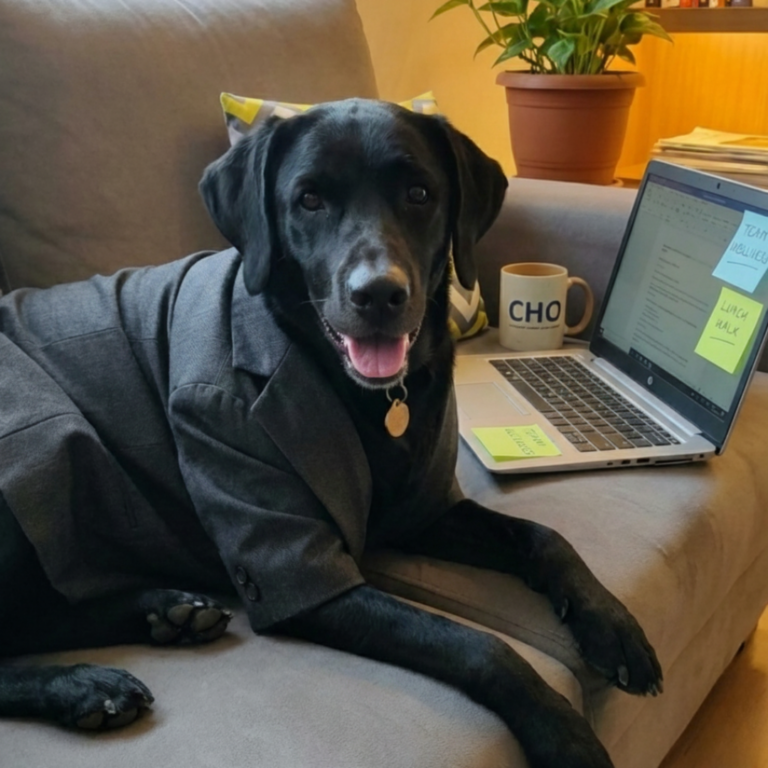 Chief Duty Officer 2